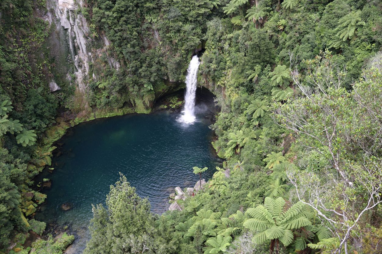 Omanawa_Falls_Walk_-_Wanderlust_Backpacker_Accommodation_Mt_Maunganui.jpg