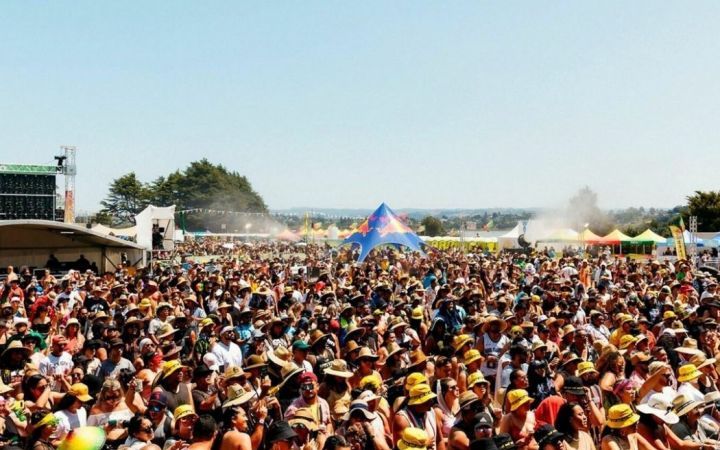 One Love Festival 2_Instagram_WanderlustNZ Accommodation Tauranga