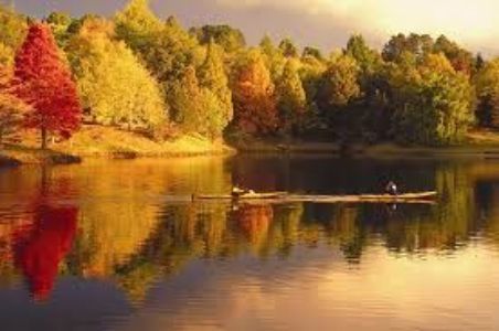 mc laren falls - Adventures WanderlustNZ Hostel Tauranga