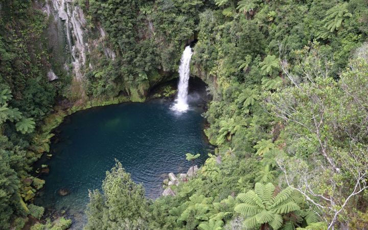 Omanawa Falls Walk - Wanderlust Backpacker Accommodation Mt Maunganui.jpg